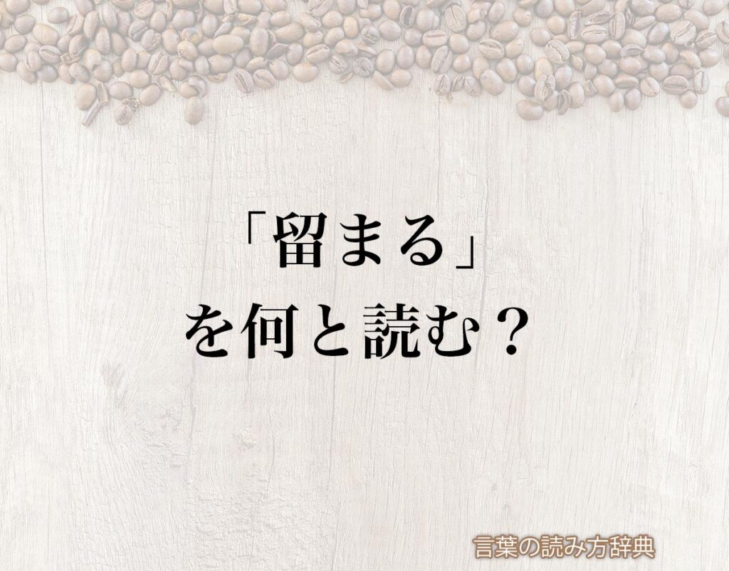 「留まる」の読み方と意味とは?「とまる」と「とどまる」のどちら?正しい読み方について詳しく解釈 | 言葉の読み方辞典